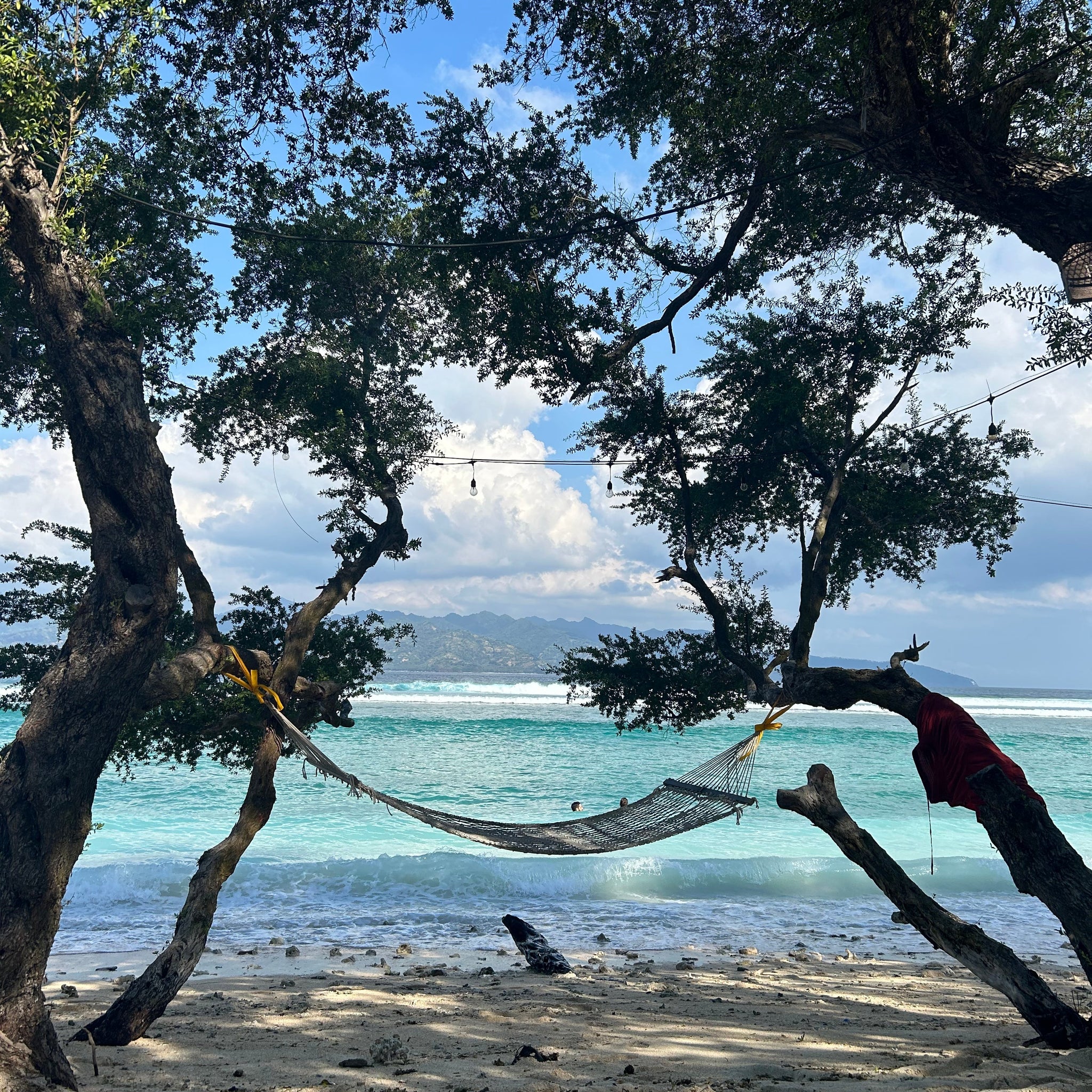 Finding Perfect Waves: Surfing, Camaraderie, and Ocean Connection.