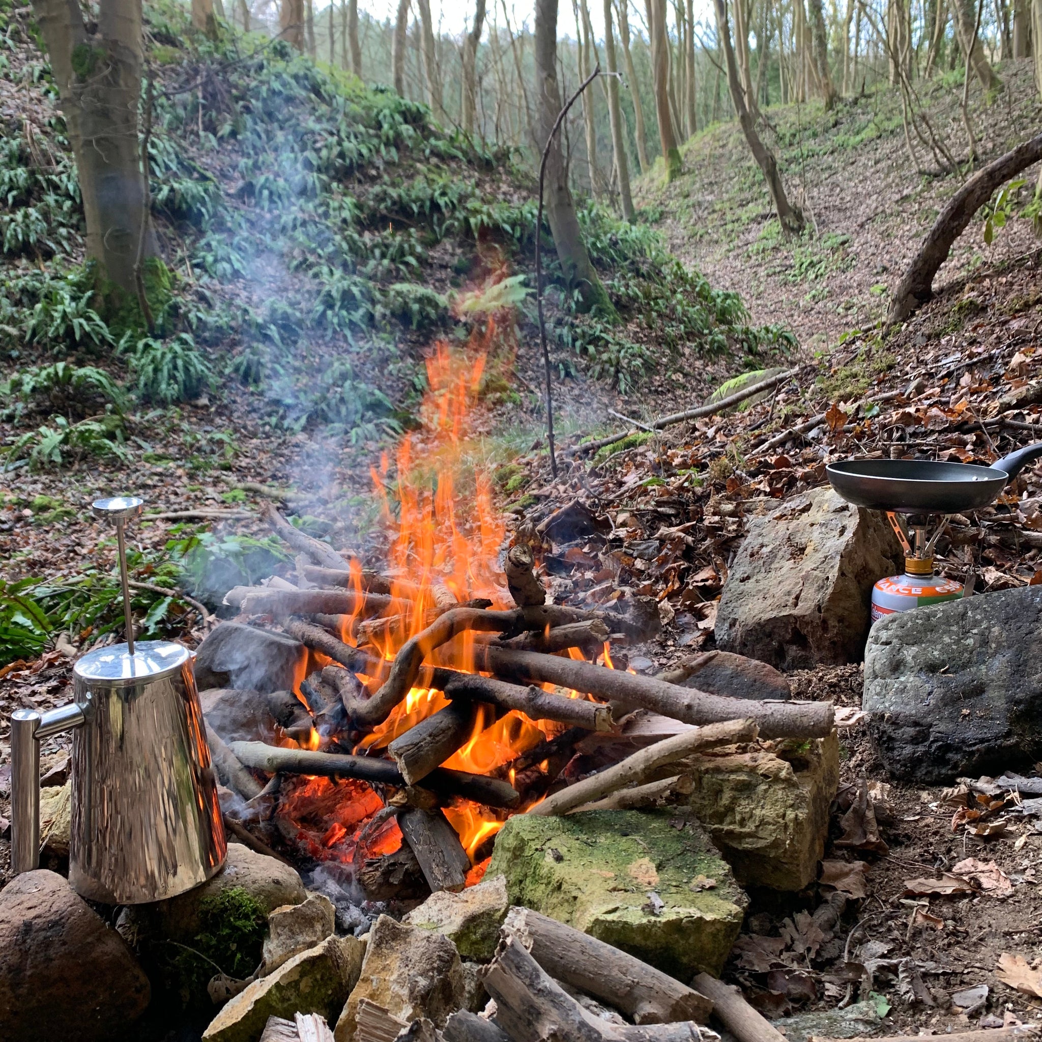 Escape to Nature: Finding Peace and Simplicity in the Wild.