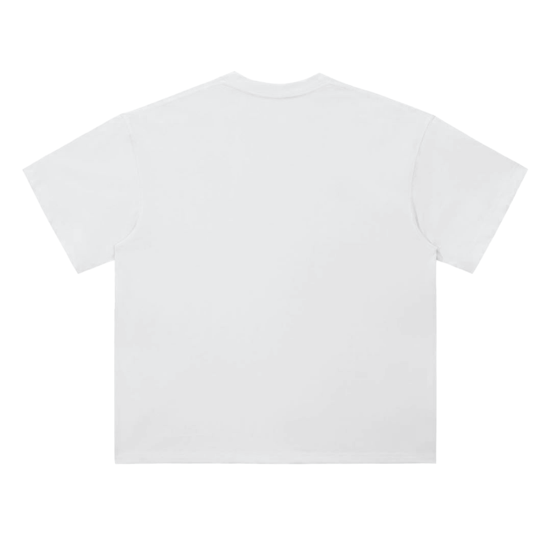 'Slow Paced, Endless Beauty' Drop Shoulder T-Shirt / White / 300 GSM